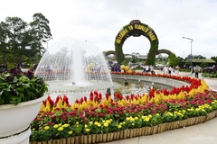 Tour 2N1D Rừng Và Hoa Đà Lạt