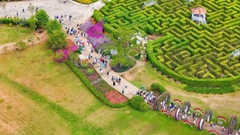 Tour 2N1D Rừng Và Hoa Đà Lạt