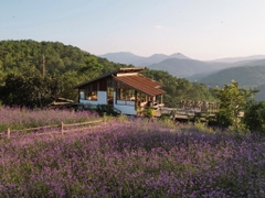 Tour 2N1D Tâm Chạm Mây Tay Chạm Thông