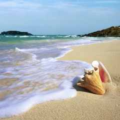 Tour Phan Thiết - Mũi Né . 3 ngày 2 đêm
