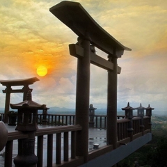 Tour SỐNG ẢO TẠI DALAT