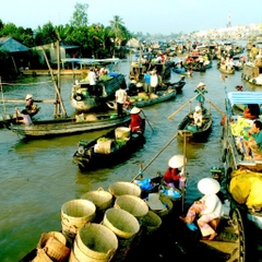 HÀ NỘI _ TP HỒ CHÍ MINH _ CẦN THƠ _ CHÂU ĐỐC _ HÀ TIÊN _CÀ MAU _ ĐẤT MŨI_ BẠC LIÊU