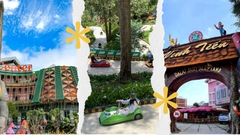 TOUR CHILL CÙNG ĐÀ LẠT I TOUR NỬA NGÀY