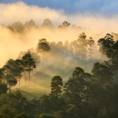 DALAT 3 NGÀY 2 ĐÊM