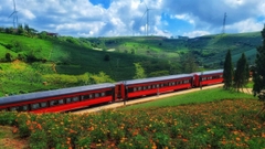 TOUR SĂN MÂY  – CHÙA LINH PHƯỚC - VƯỜN CẨM TÚ  | TOUR NỬA NGÀY