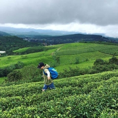 ĐÀ LẠT - NHA TRANG 4 NGÀY 3 ĐÊM (003)