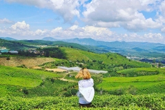 Tour 2N1D Xách Balo Lên Đà Lạt