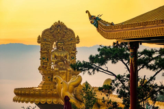 Tour 5N4D Chơi Hết Mình Ở Đà Lạt 5 Ngày