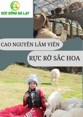 TOUR CAO NGUYÊN LÂM VIÊN - RỰC RỠ SẮC HOA | 3 NGÀY 2 ĐÊM