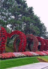 Tour 1 Ngày Khám Phá Tứ Phương
