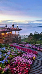 Tour 3 Ngày 2 Đêm Vui Quá Xá