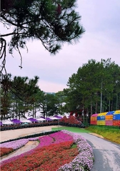 Tour 1 Ngày Khám Phá Tứ Phương