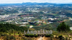 TOUR 2  ĐÀ LẠT TRỌN GÓI | 2 NGÀY 1 ĐÊM
