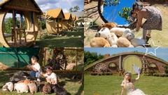 TOUR GIAO THOA ĐÀ LẠT: XƯA & NAY I TOUR 1 NGÀY