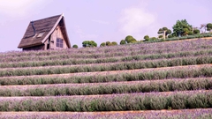 TOUR TRẢI NGHIỆM GÓI GỌN BÌNH YÊN I TOUR 1 NGÀY
