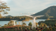LẠC GIỮA GIẤC MƠ HOA | TOUR 1 NGÀY