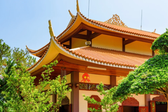 Tour 3N2D Tâm An Giữa Đại Ngàn