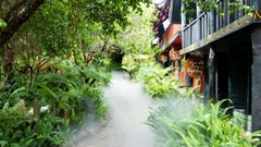 TOUR HÀNH TRÌNH XANH I TOUR NỬA NGÀY