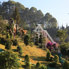 GIỚI THIỆU CHƯƠNG TRÌNH THAM QUAN DA LAT DU LỊCH 2020