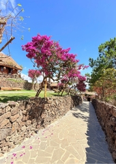 Tour 3N2D Trải Nghiệm Cảnh Đẹp Trên Cao Nguyên