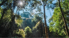 TOUR 1 NGÀY CÙNG TIẾNG GỌI ĐẠI NGÀN I TOUR 1 NGÀY
