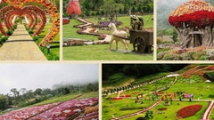 TOUR ĐÀ LẠT RỰC LỬA - KẾT SỨC MẠNH, NỐI THÀNH CÔNG 3N2D