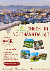 TOUR CHECK IN THAM QUAN NỘI THÀNH ĐÀ LẠT
