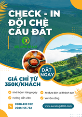 TOUR 4: CHECK IN ĐỒI CHÈ CẦU ĐẤT