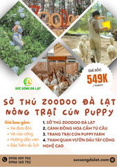 TOUR 7: SỞ THÚ ZOODOO ĐÀ LẠT – TRANG TRẠI CÚN PUPPY FARM – VƯỜN DÂU CÔNG NGHỆ CAO – CÁNH ĐỒNG CẨM TÚ CẦU