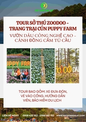 CHECK IN VƯỜN CẨM TÚ CẦU - TRẢI NGHIỆM HÁI DÂU CÔNG NGHỆ CAO