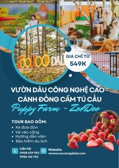 NỬA NGÀY KHÁM PHÁ ĐÀ LẠT