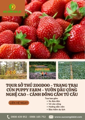 TRẢI NGHIỆM NÔNG TRẠI CÚN PUPPY FARM - SỞ THÚ ZOODOO ĐÀ LẠT