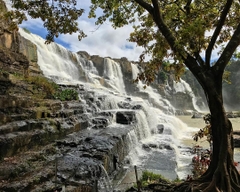 Tour 4N3D Tâm Về Miền Cao Nguyên