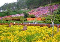 Tour 1 Ngày Đi Đâu Cũng Zui