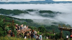 Tour 1 Ngày Chạm Mây