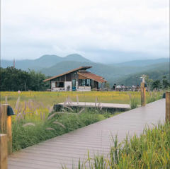 Tour 2N1D Tâm Chạm Mây Tay Chạm Thông