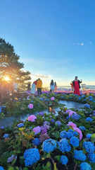 Tour 3N2D Thanh Xuân Trên Cao Nguyên
