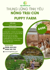 TOUR THUNG LŨNG TÌNH YÊU-NÔNG TRẠI CÚN PUPPY FARM