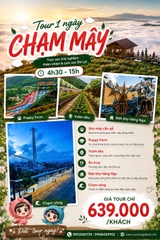 Tour 1 Ngày Chạm Mây