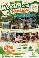 Tour 1 Ngày Wonder Land & Workshop
