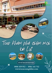 KHÁM PHÁ ĐIỂM MỚI THÚ VỊ Ở ĐÀ LẠT
