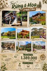Tour 2N1D Rừng Và Hoa Đà Lạt