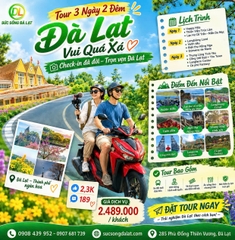 Tour 3 Ngày 2 Đêm Vui Quá Xá