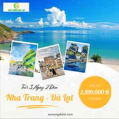 Tour Nha Trang - Đà Lạt 3N2D Giá Rẻ Trọn Gói