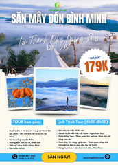 TOUR 5:  SĂN MÂY - ĐÓN BÌNH MINH TẠI THÀNH PHỐ MỘNG MƠ ĐÀ LẠT