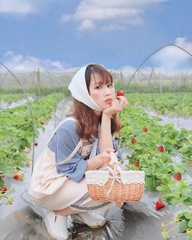 Tour 3N2D Tâm Giao Miền Mộng