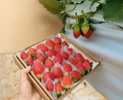 Đà Lạt THÁC NƯỚC VÀ TÌNH YÊU