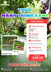 TOUR HÀNH TRÌNH XANH I TOUR NỬA NGÀY