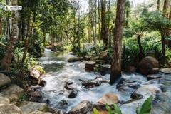 Tour 3N2D Tâm An Giữa Đại Ngàn
