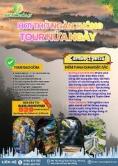 TOUR HƠI THỞ NGÀN THÔNG | TOUR NỬA NGÀY
